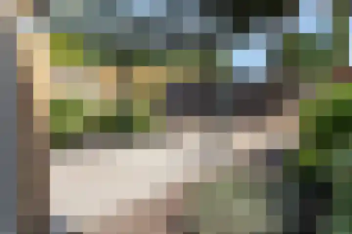 Tollenhof 41 Kesteren thumbnail 49