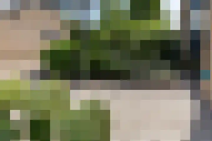Tollenhof 41 Kesteren thumbnail 50