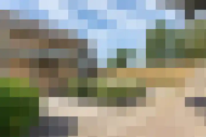 Tollenhof 41 Kesteren thumbnail 6