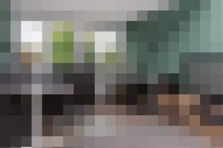 Tollenhof 41 Kesteren thumbnail 64