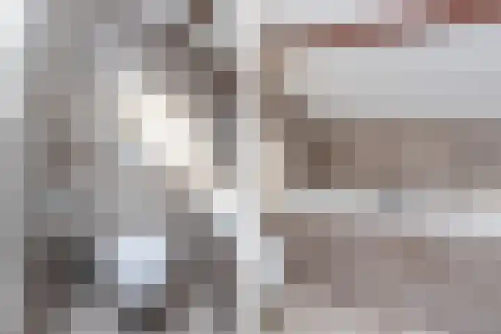 Tollenhof 41 Kesteren thumbnail 67