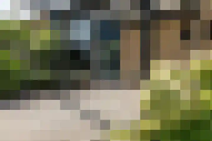 Tollenhof 41 Kesteren thumbnail 7