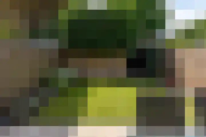 Tollenhof 41 Kesteren thumbnail 70