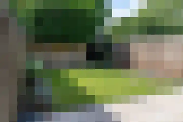 Tollenhof 41 Kesteren thumbnail 71