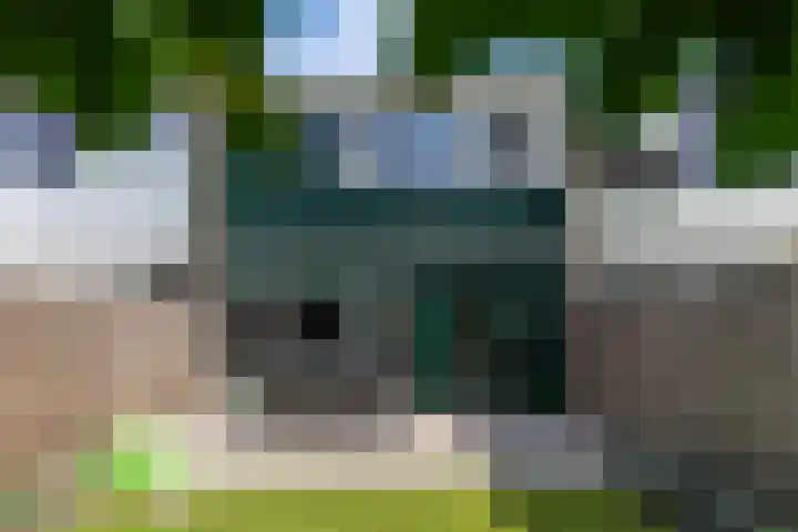 Tollenhof 41 Kesteren thumbnail 72