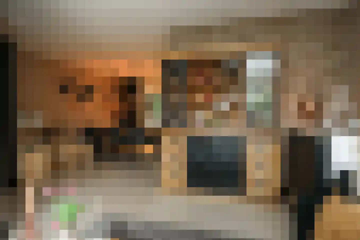 Tollenhof 47 Kesteren thumbnail 10