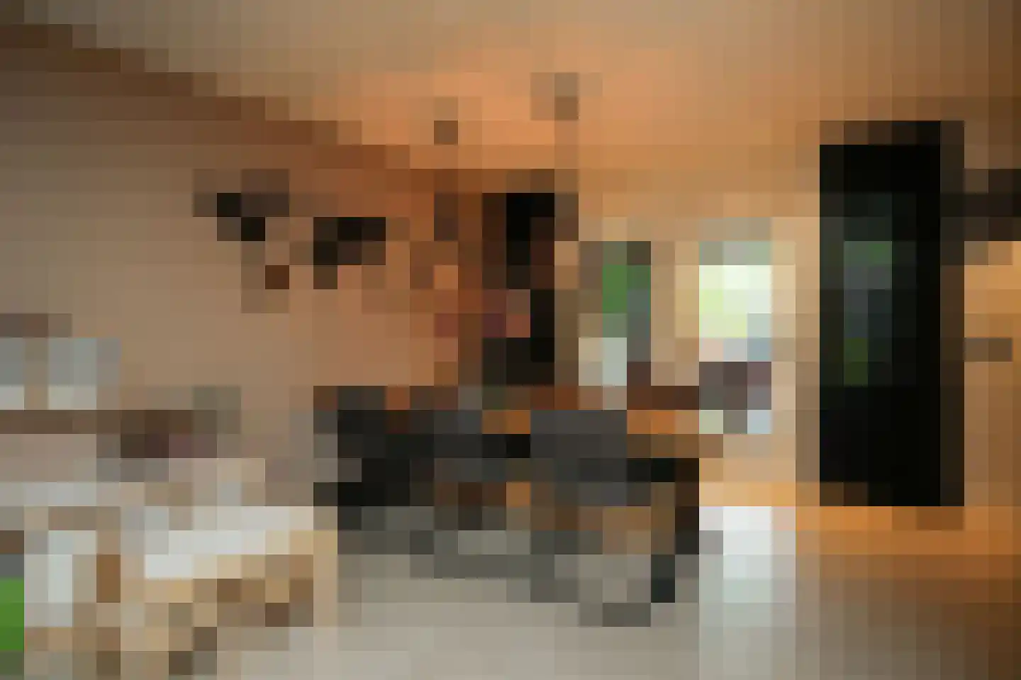 Tollenhof 47 Kesteren thumbnail 11