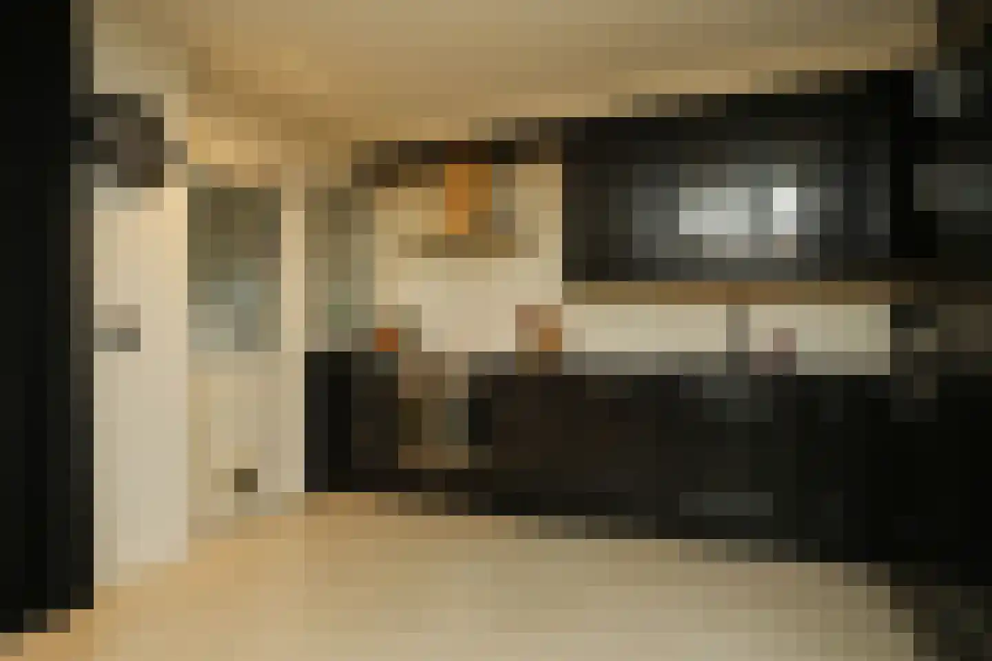 Tollenhof 47 Kesteren thumbnail 13