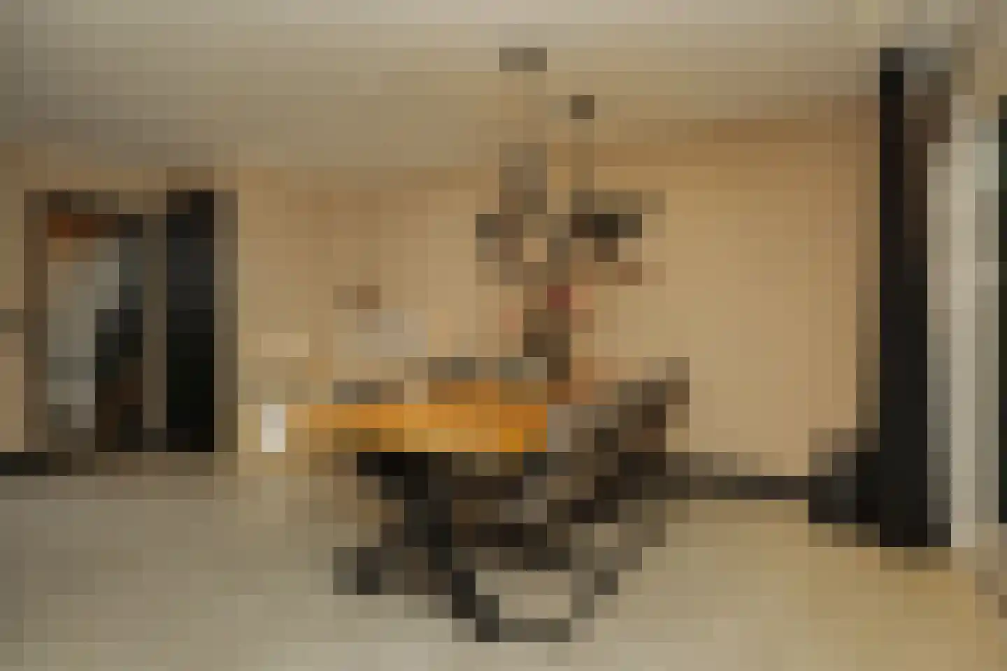 Tollenhof 47 Kesteren thumbnail 17