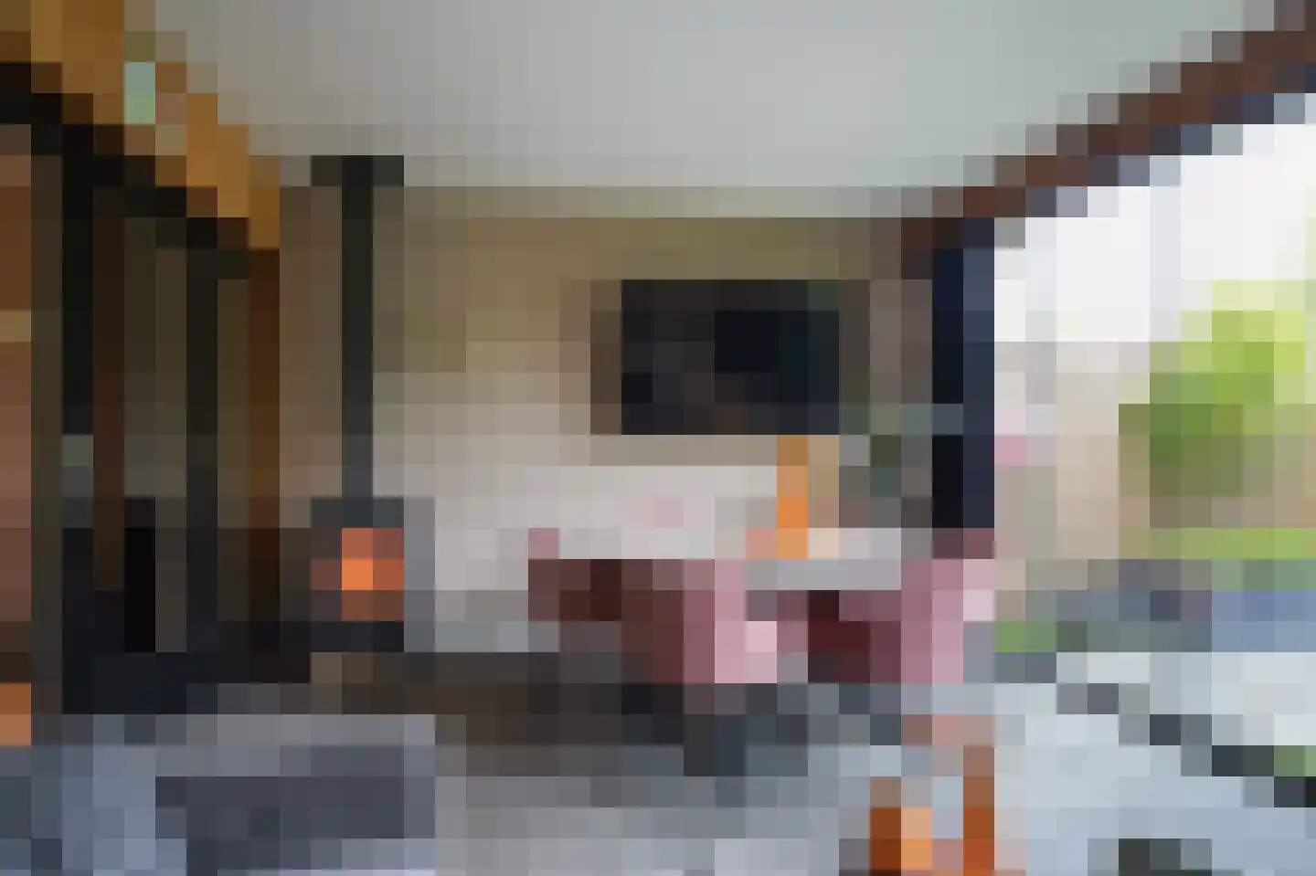Tollenhof 47 Kesteren thumbnail 18