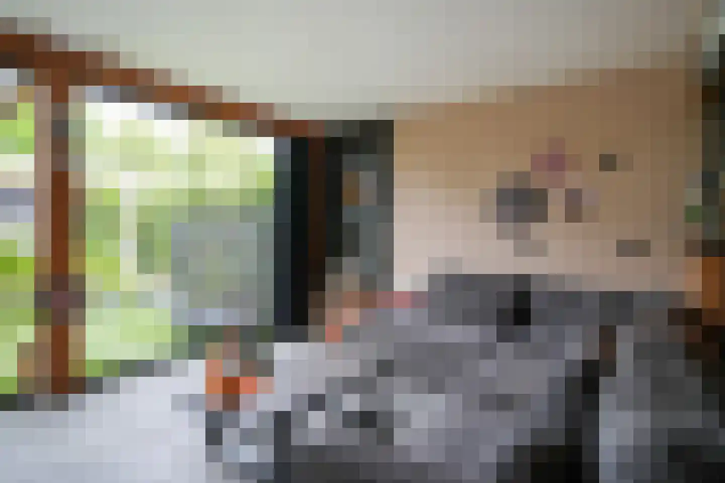 Tollenhof 47 Kesteren thumbnail 20