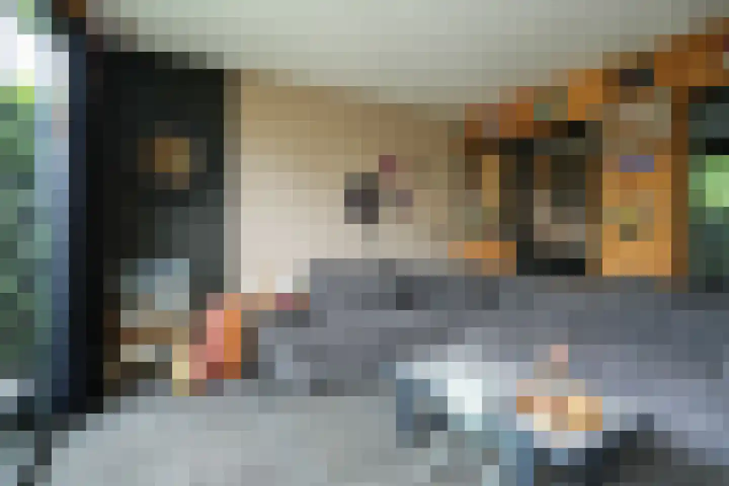 Tollenhof 47 Kesteren thumbnail 21