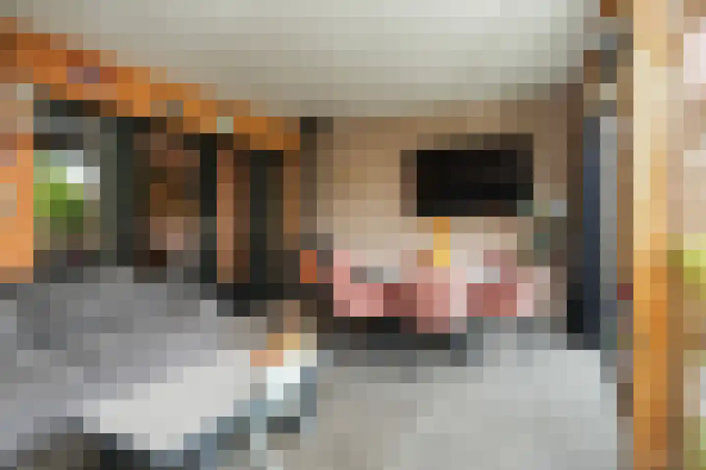 Tollenhof 47 Kesteren thumbnail 22