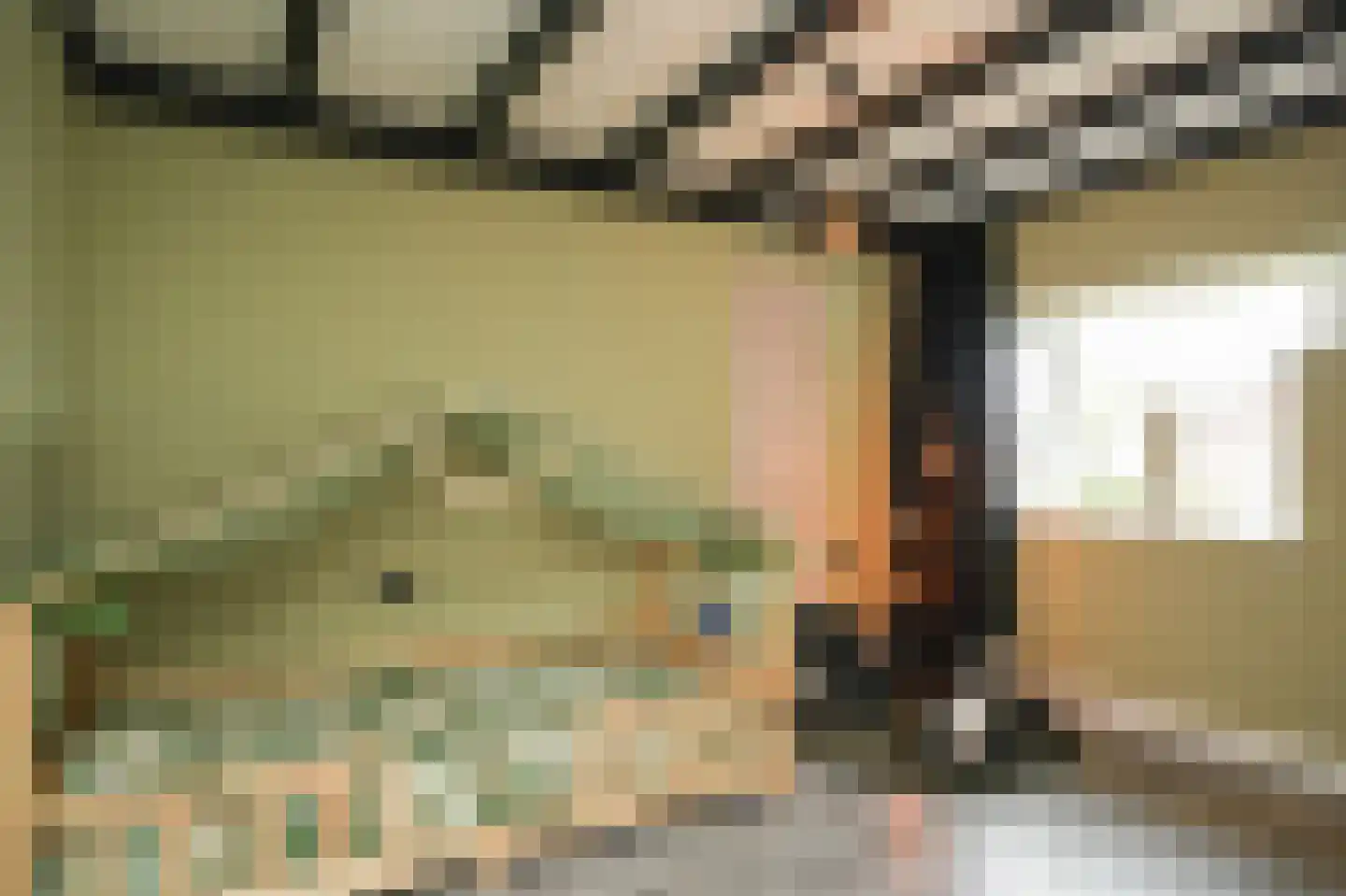 Tollenhof 47 Kesteren thumbnail 31