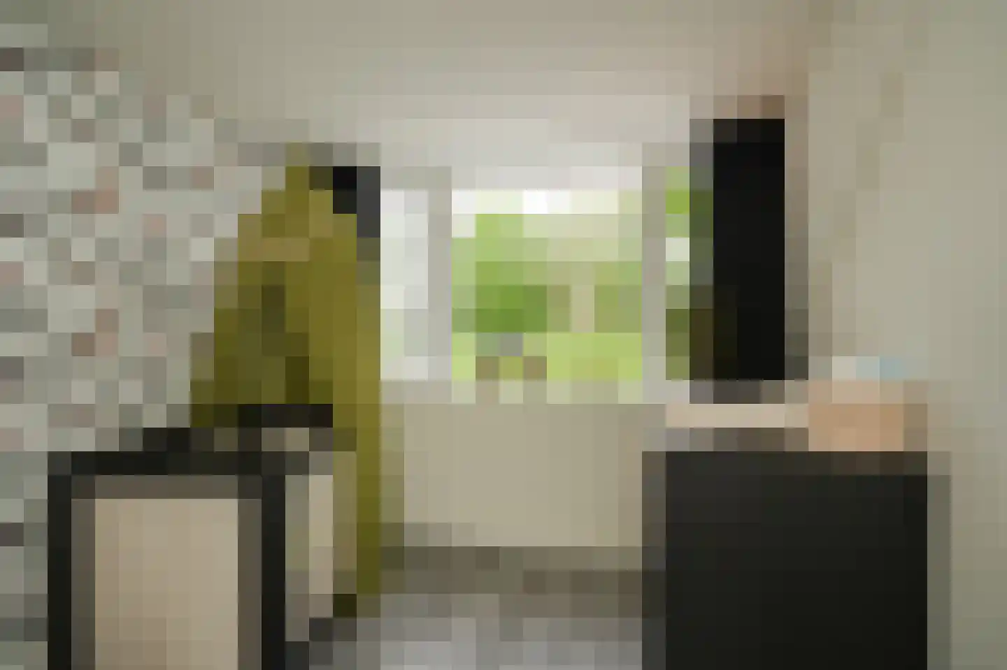 Tollenhof 47 Kesteren thumbnail 34