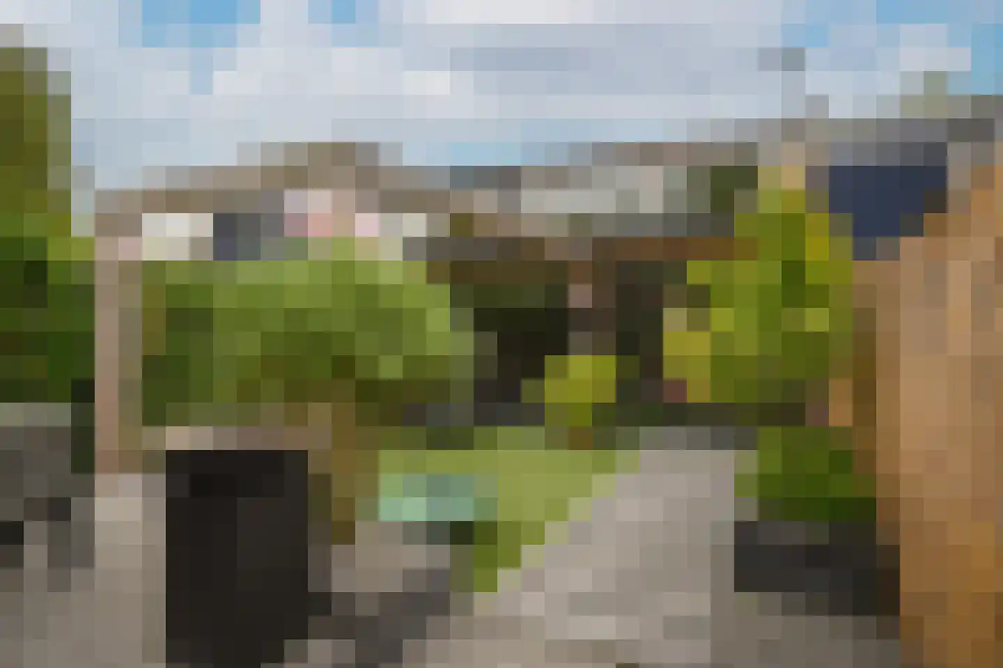 Tollenhof 47 Kesteren thumbnail 37