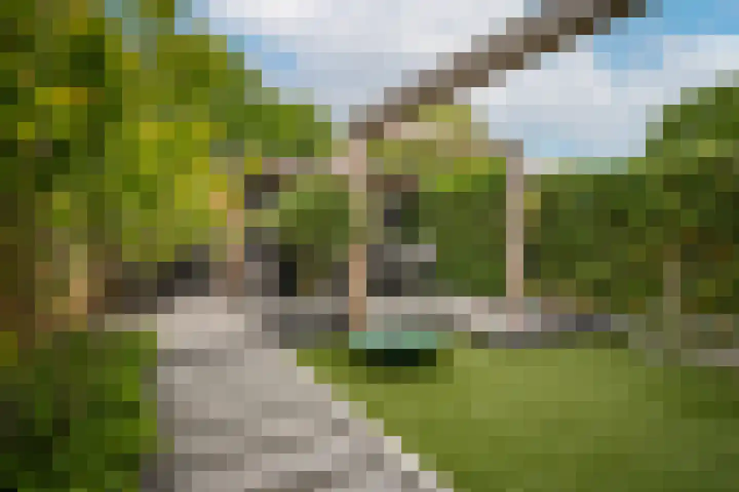 Tollenhof 47 Kesteren thumbnail 4