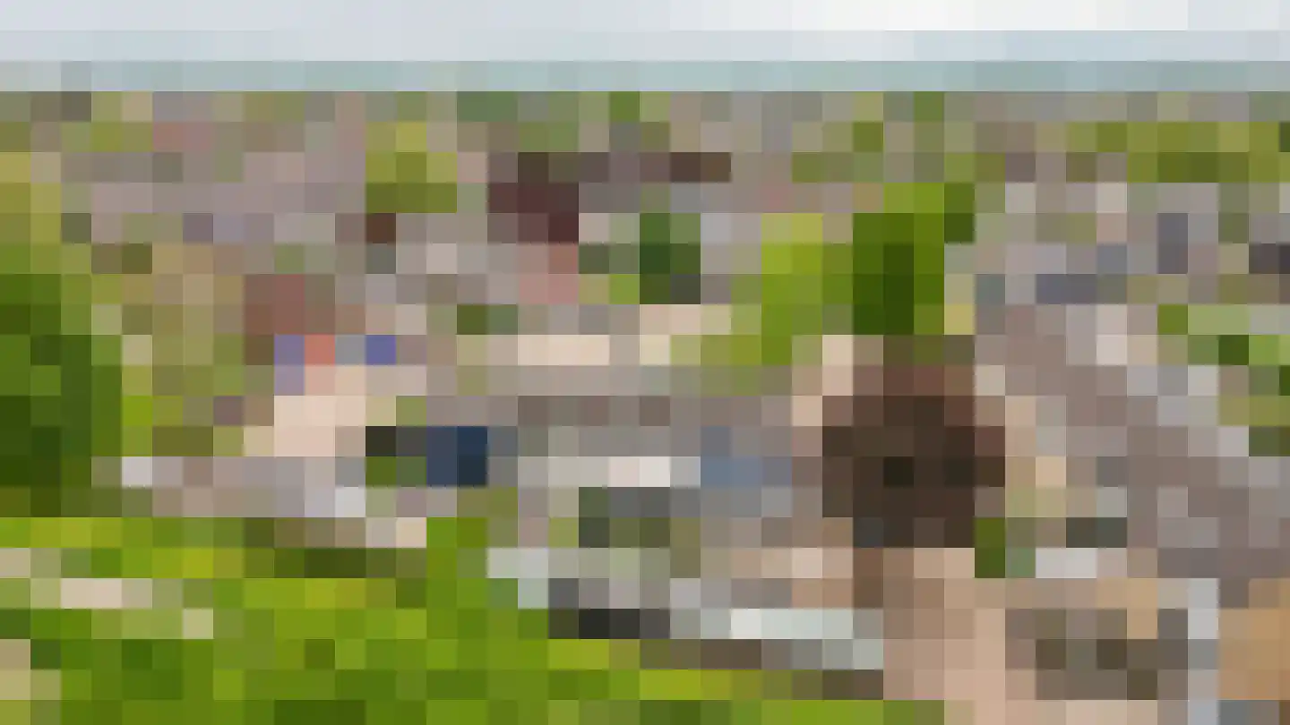 Tollenhof 47 Kesteren thumbnail 47