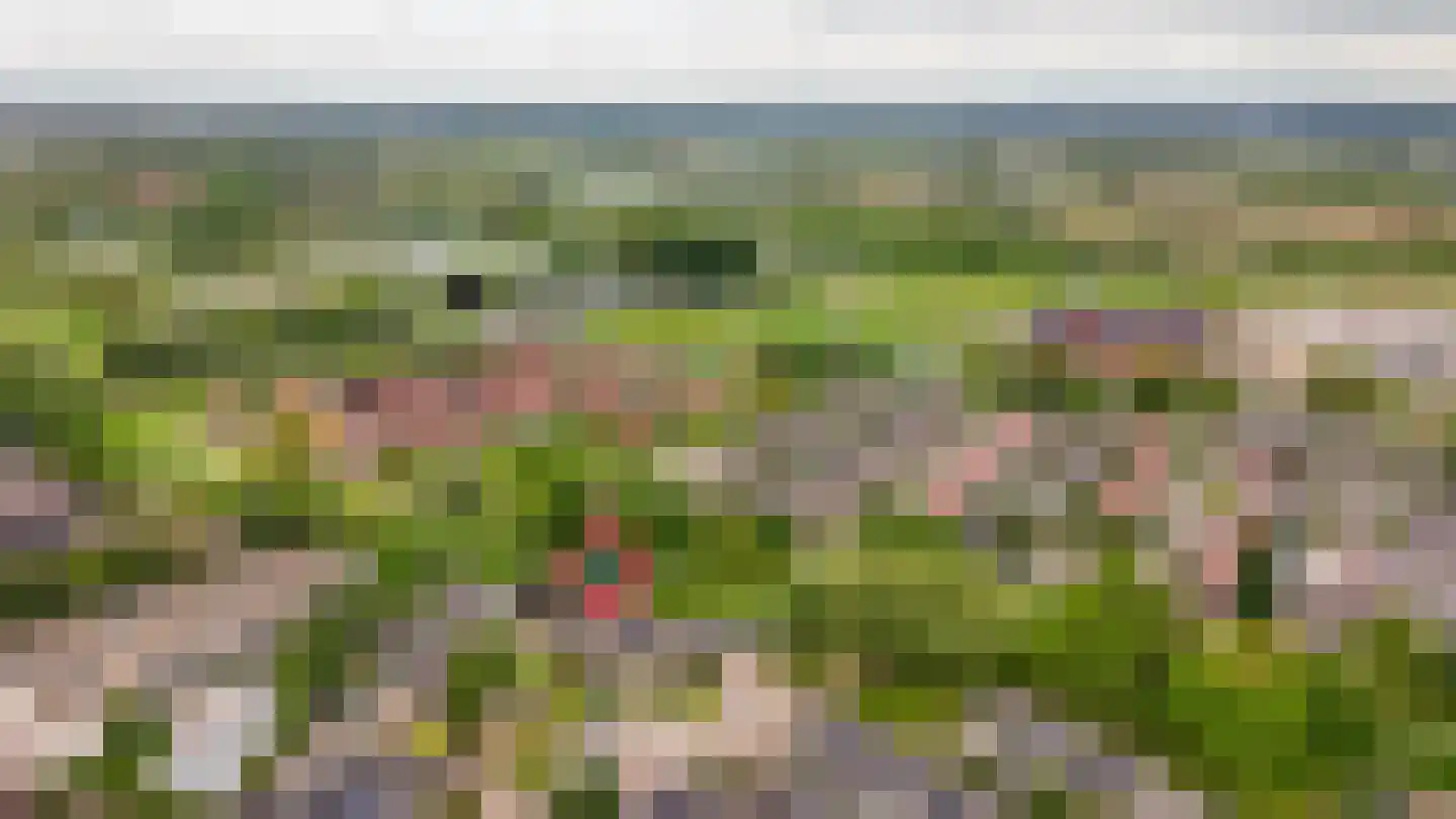 Tollenhof 47 Kesteren thumbnail 48
