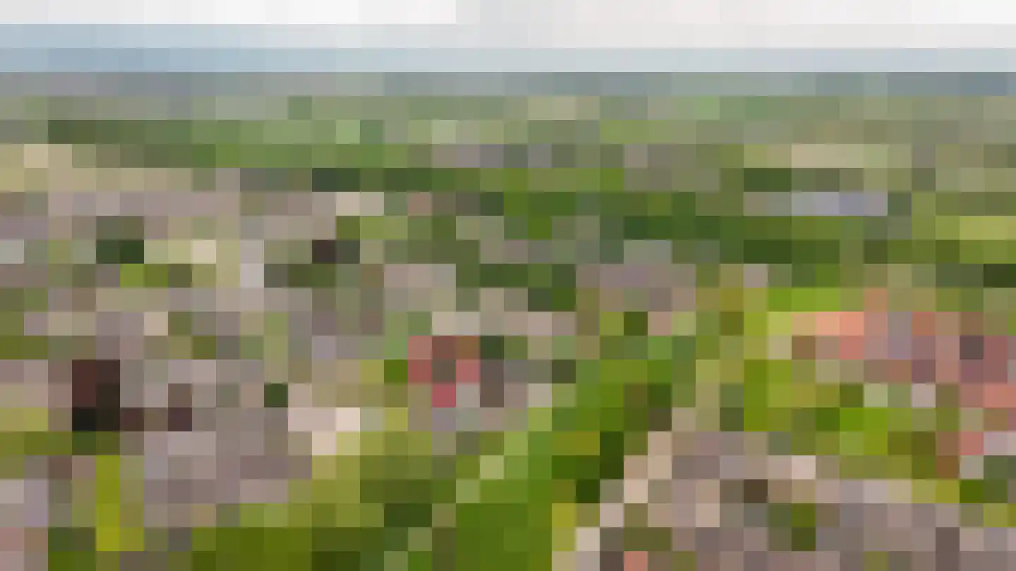 Tollenhof 47 Kesteren thumbnail 49