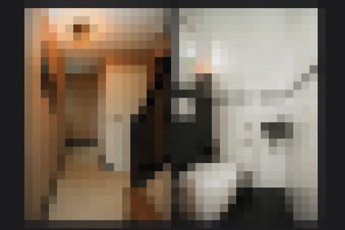 Tollenhof 47 Kesteren thumbnail 5