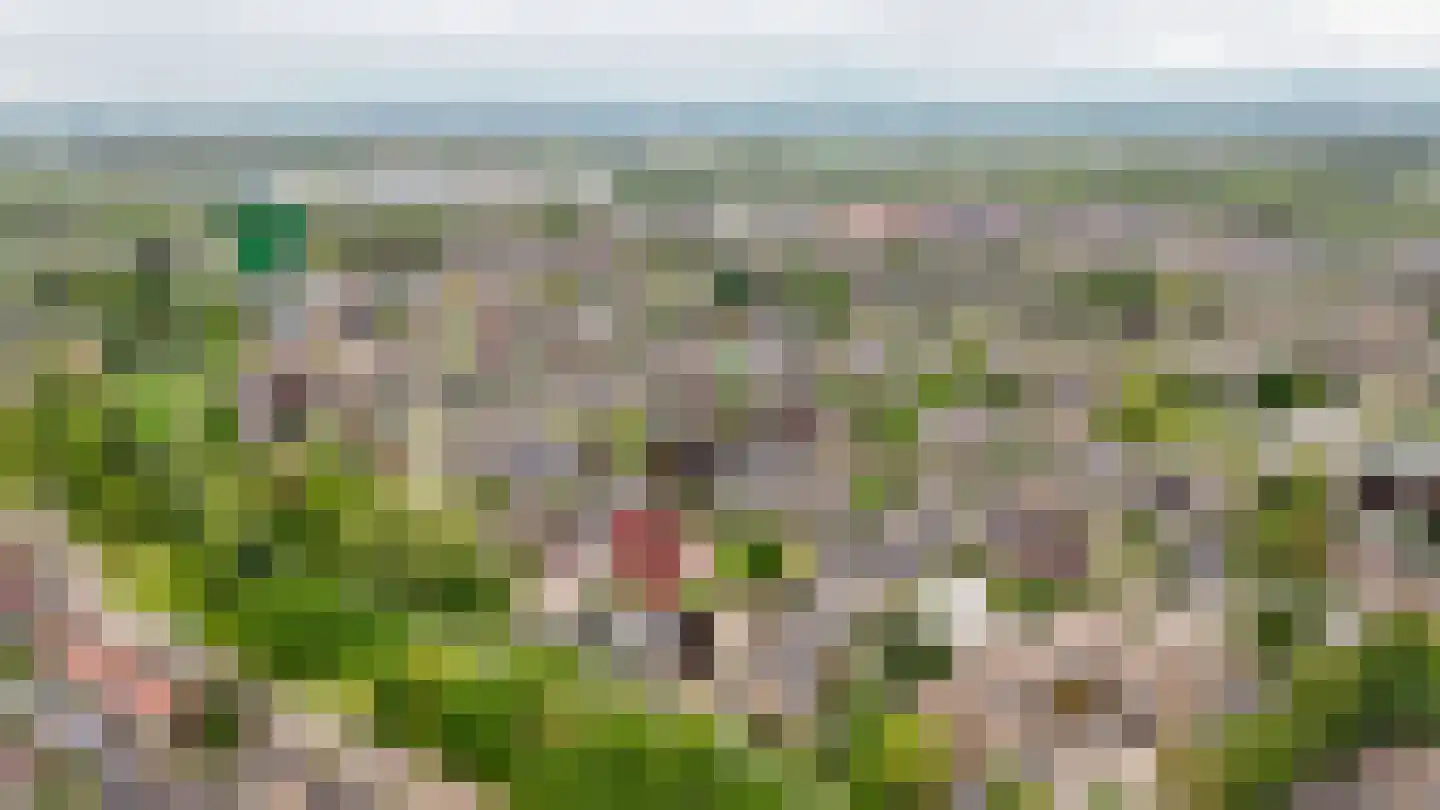 Tollenhof 47 Kesteren thumbnail 50