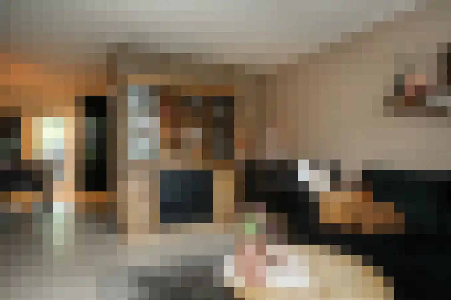 Tollenhof 47 Kesteren thumbnail 8