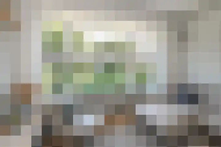 Tollenskade 13 Voorburg thumbnail 11