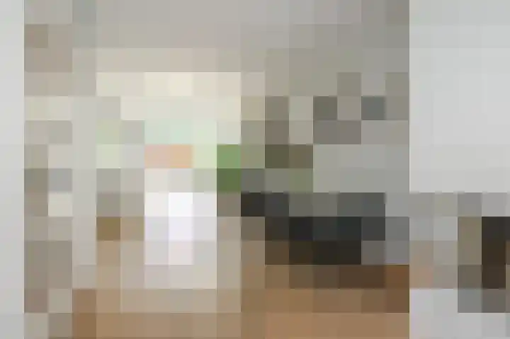 Tollenskade 13 Voorburg thumbnail 13