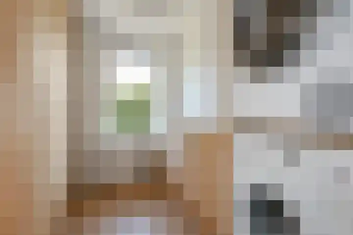 Tollenskade 13 Voorburg thumbnail 32