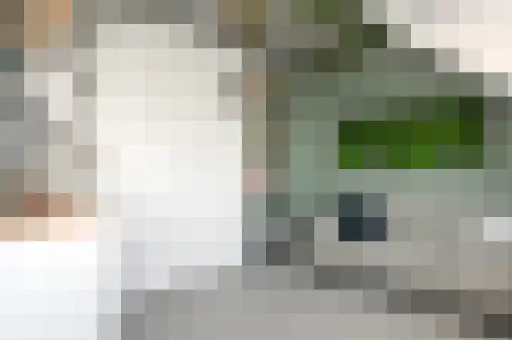 Tollenskade 13 Voorburg thumbnail 56