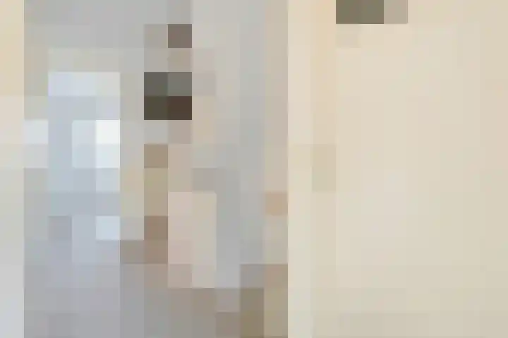 Tollenskade 19 Voorburg thumbnail 24