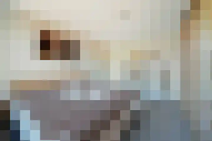 Tollenskade 19 Voorburg thumbnail 27