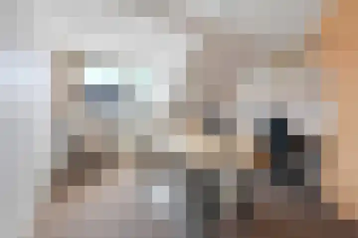 Tollenskade 19 Voorburg thumbnail 39