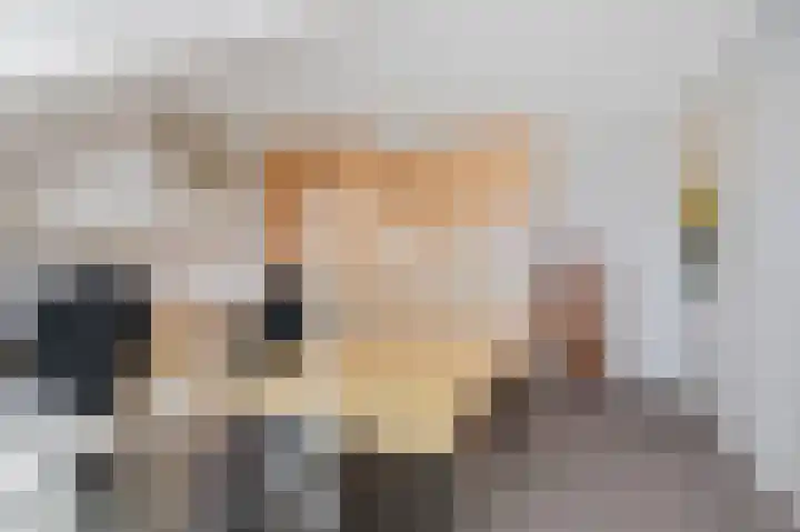 Tollenskade 19 Voorburg thumbnail 40