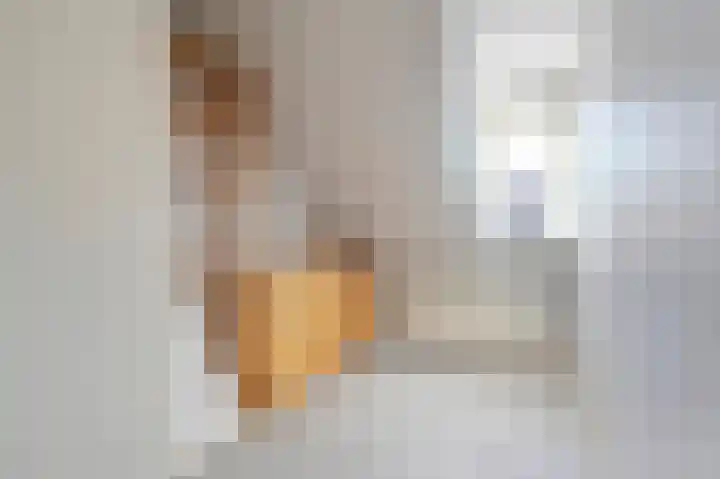 Tollenskade 19 Voorburg thumbnail 41