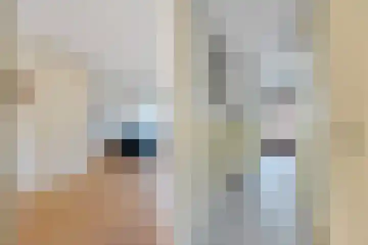 Tollenskade 19 Voorburg thumbnail 7