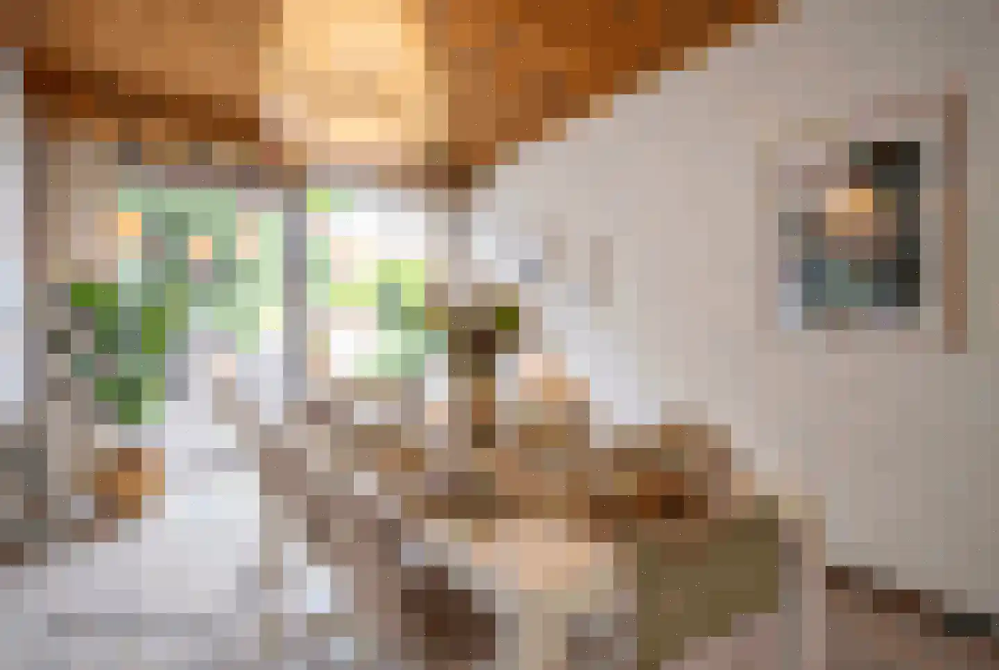 Tollenskade 30 Voorburg thumbnail 10