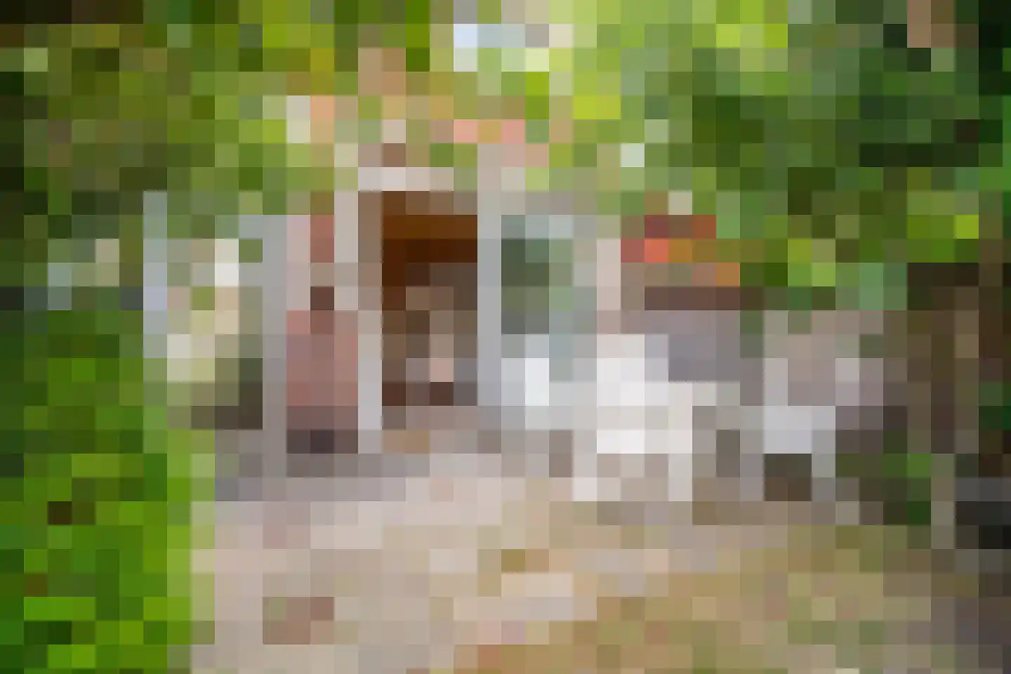 Tollenskade 30 Voorburg thumbnail 26