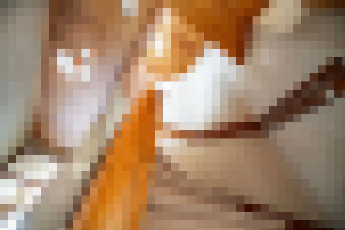 Tollenskade 30 Voorburg thumbnail 32