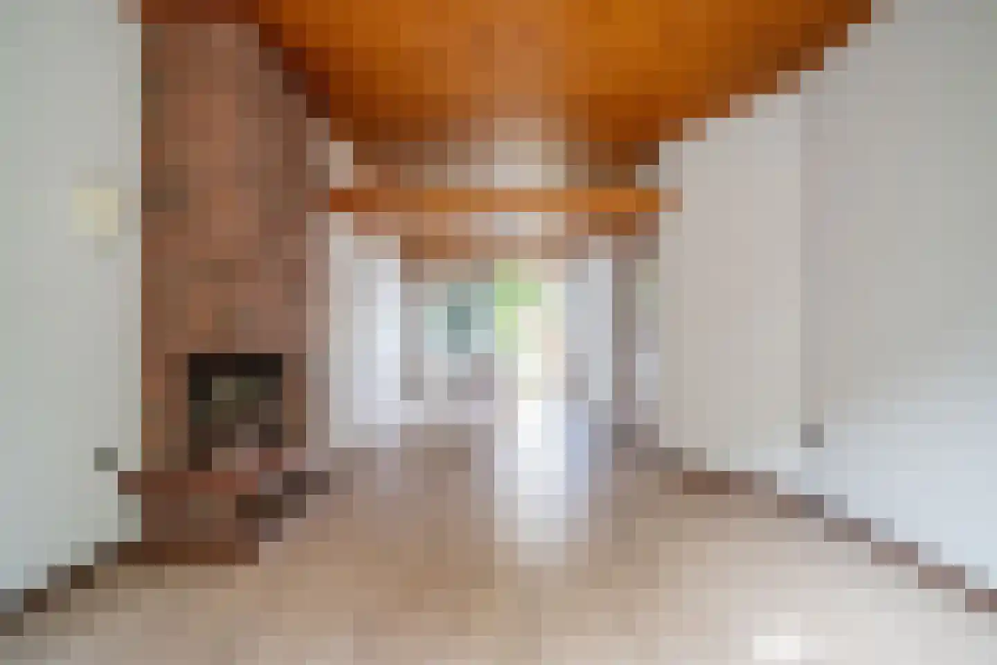 Tollenskade 30 Voorburg thumbnail 4