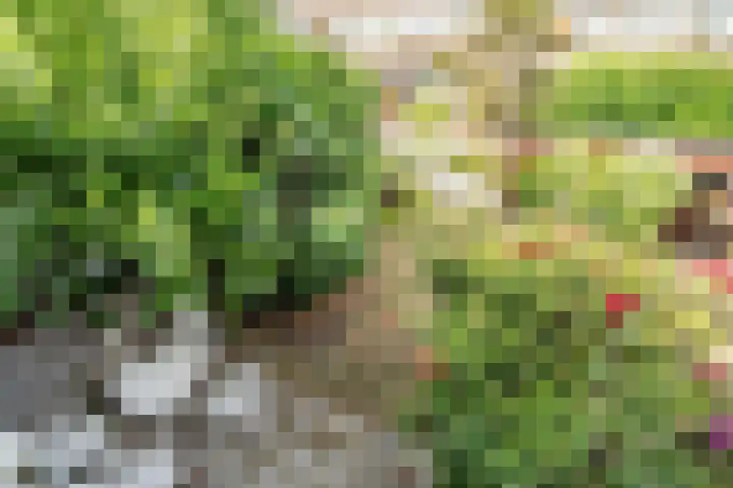 Tollenskade 30 Voorburg thumbnail 46