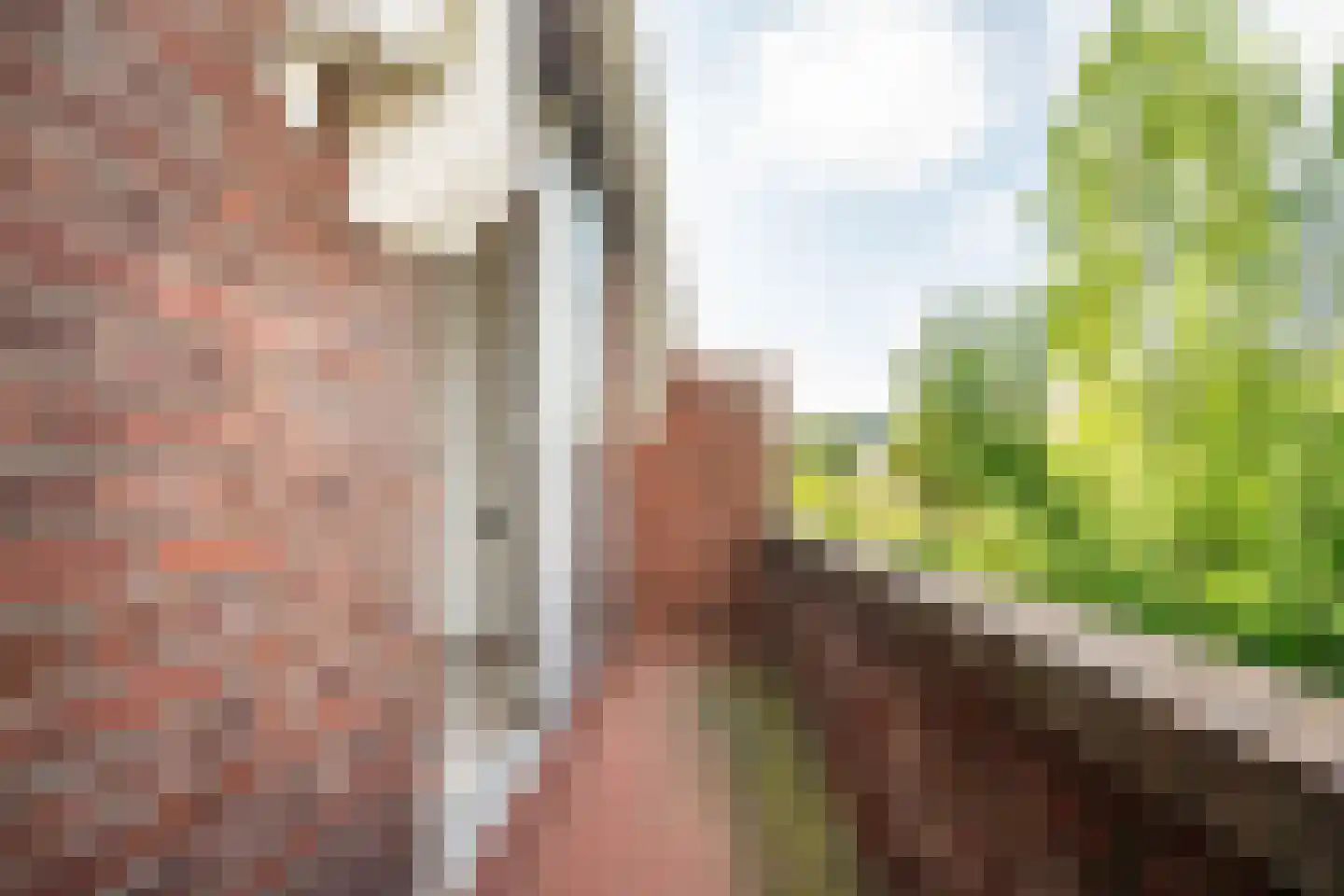 Tollenskade 30 Voorburg thumbnail 47
