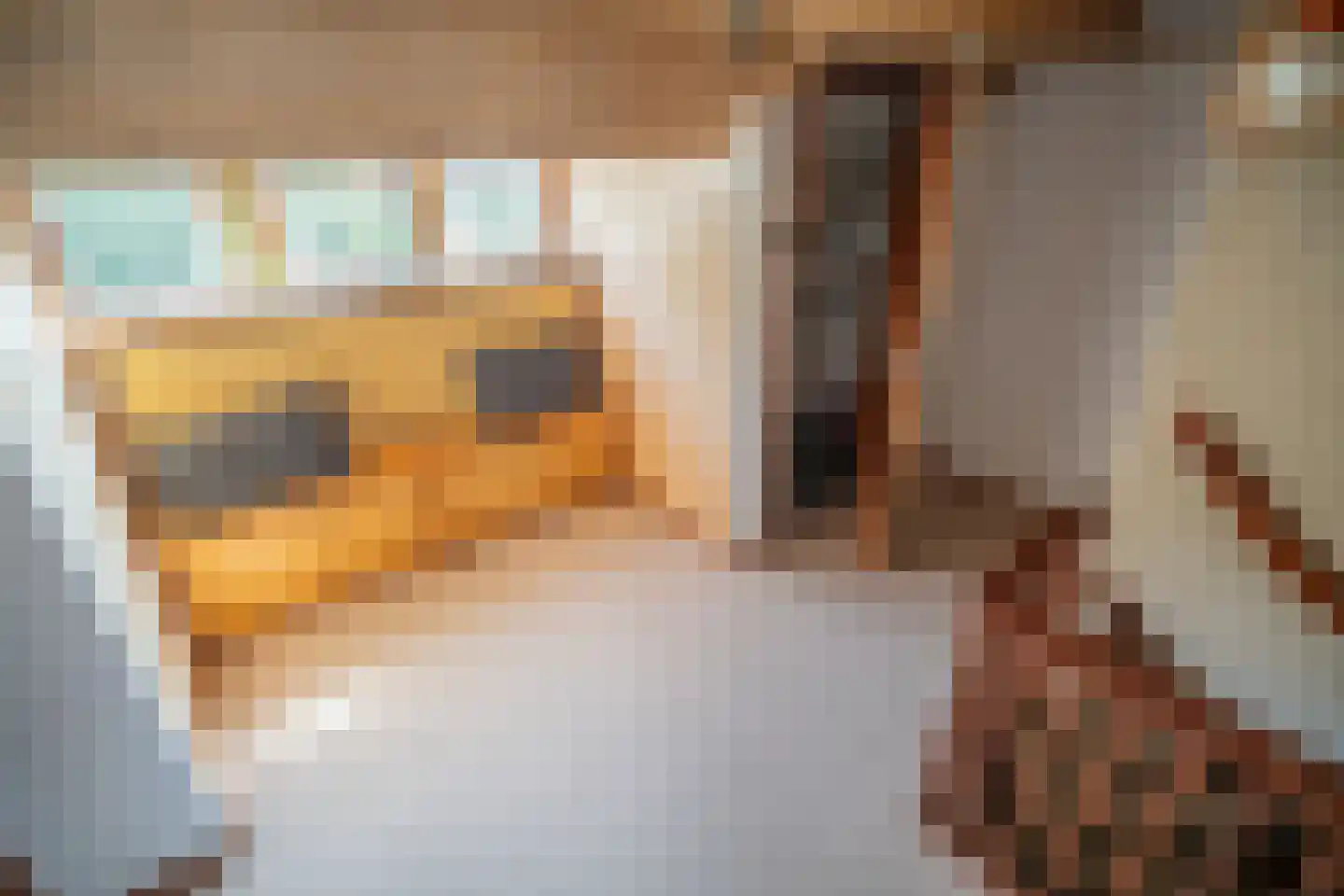 Tollenskade 30 Voorburg thumbnail 50