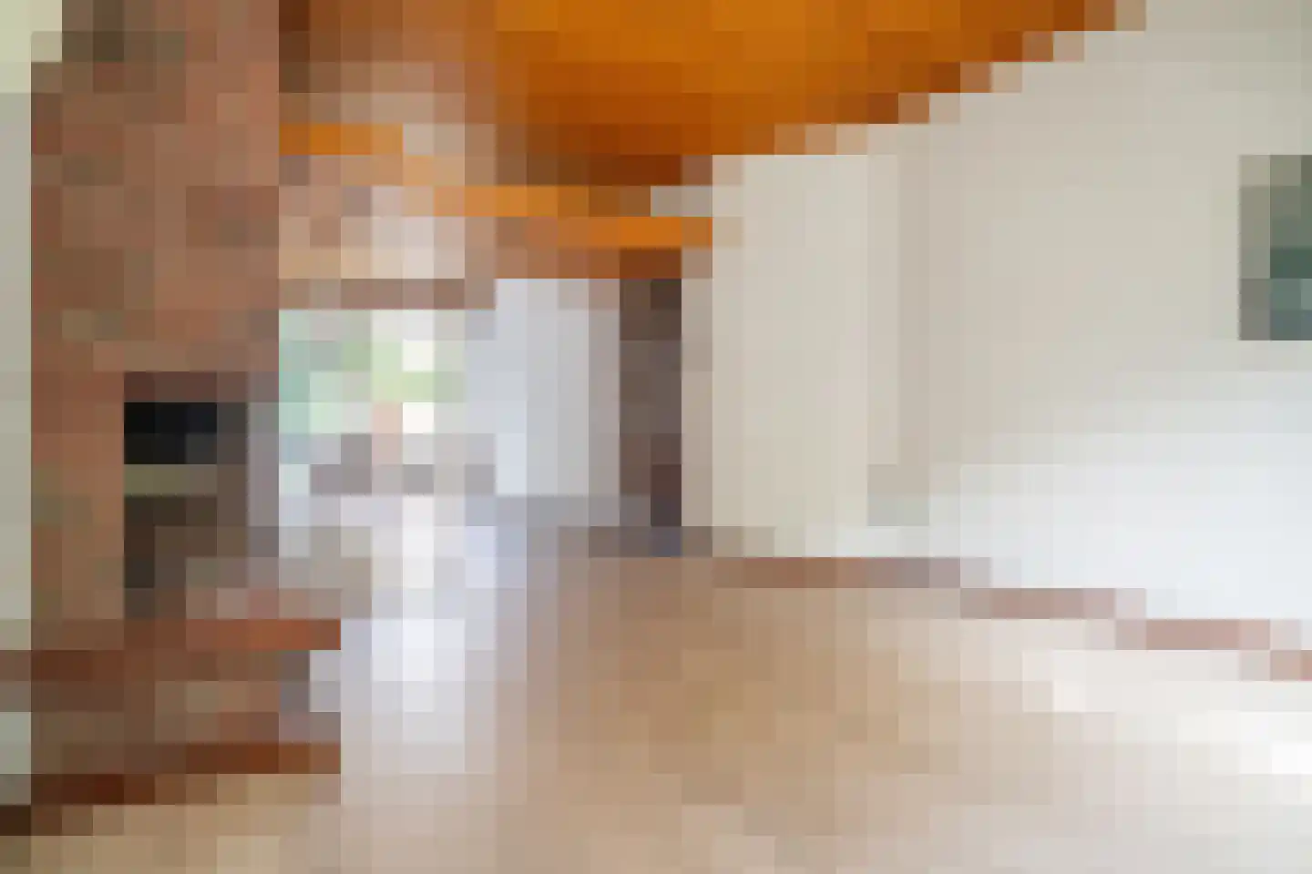 Tollenskade 30 Voorburg thumbnail 6