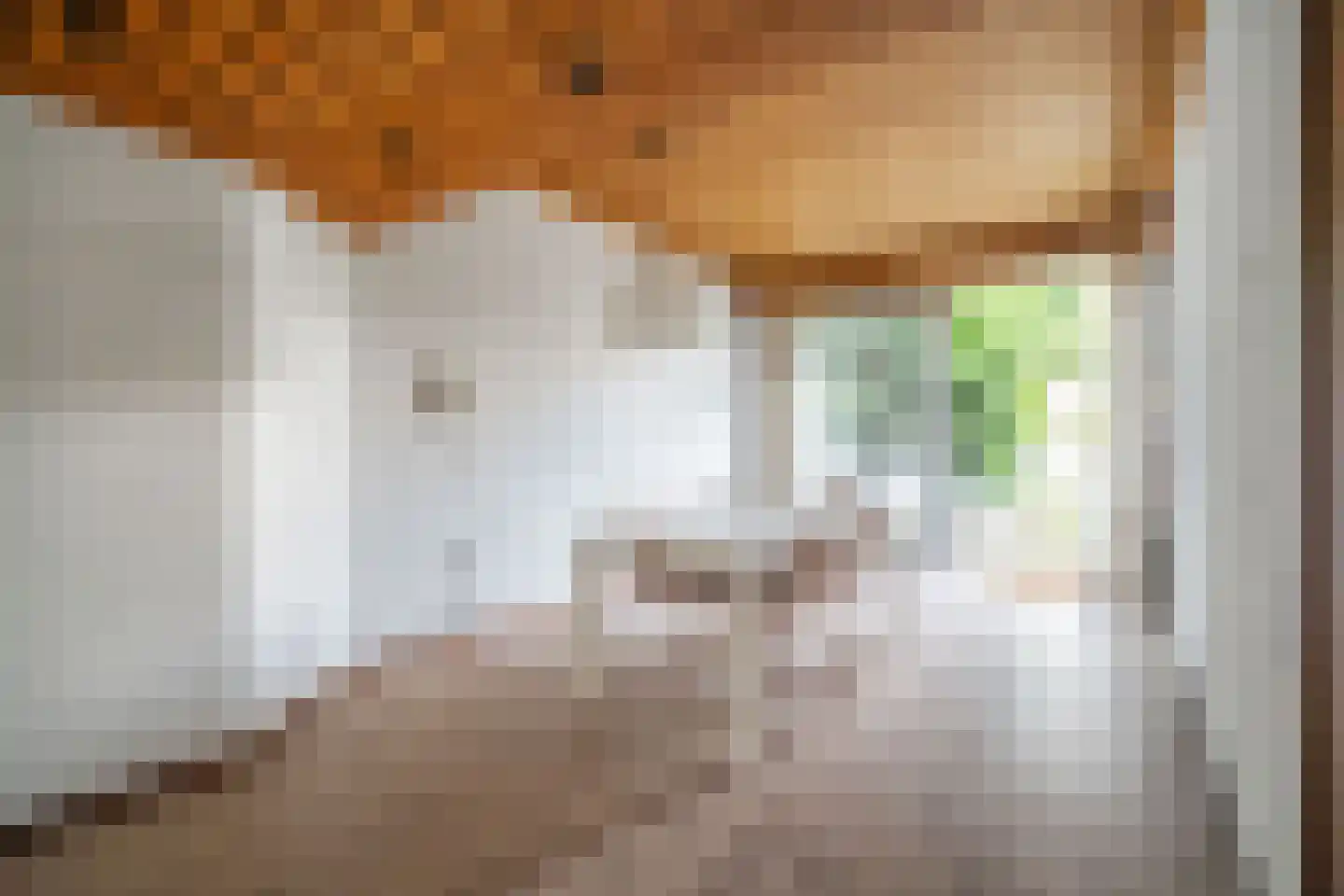 Tollenskade 30 Voorburg thumbnail 8