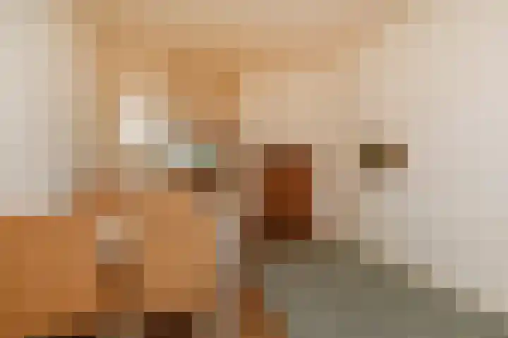 Tollenskade 36 Voorburg thumbnail 23