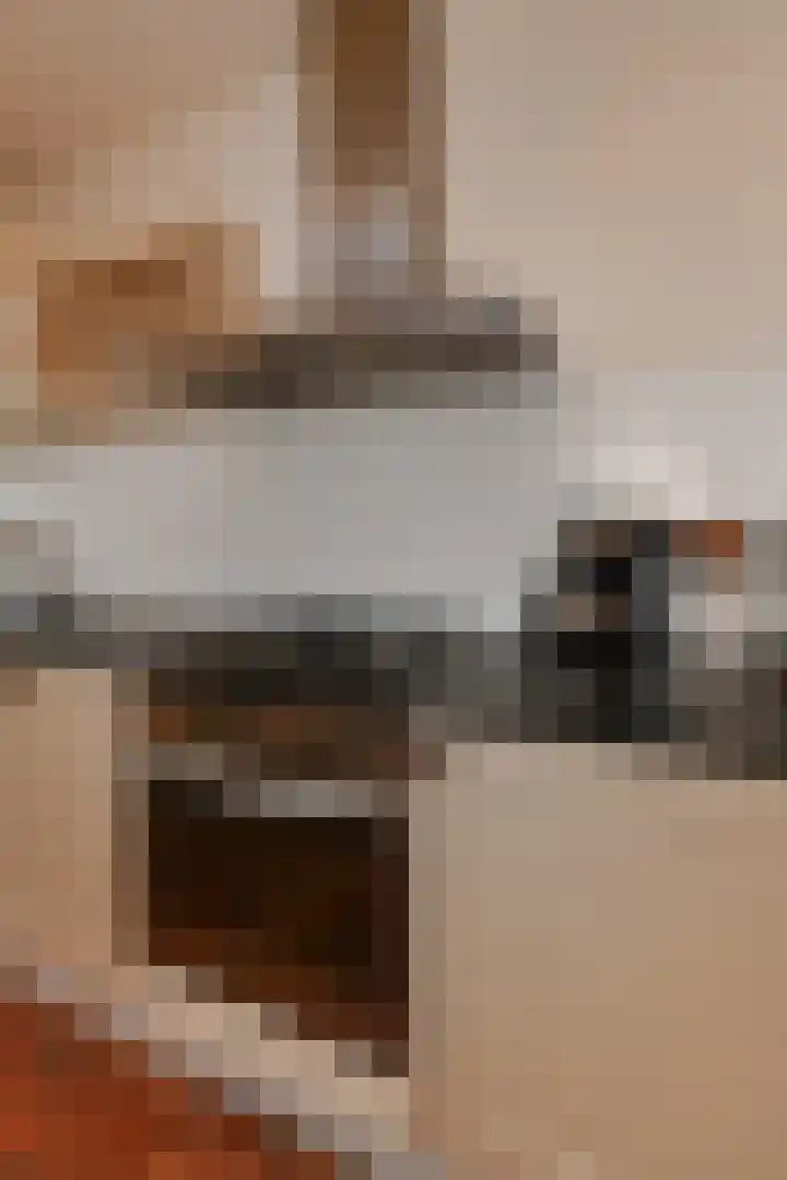 Tollenskade 36 Voorburg thumbnail 27