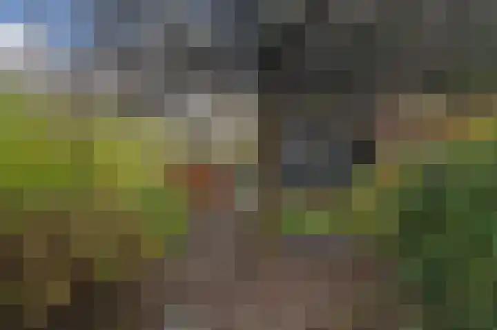 Tollenskade 36 Voorburg thumbnail 28