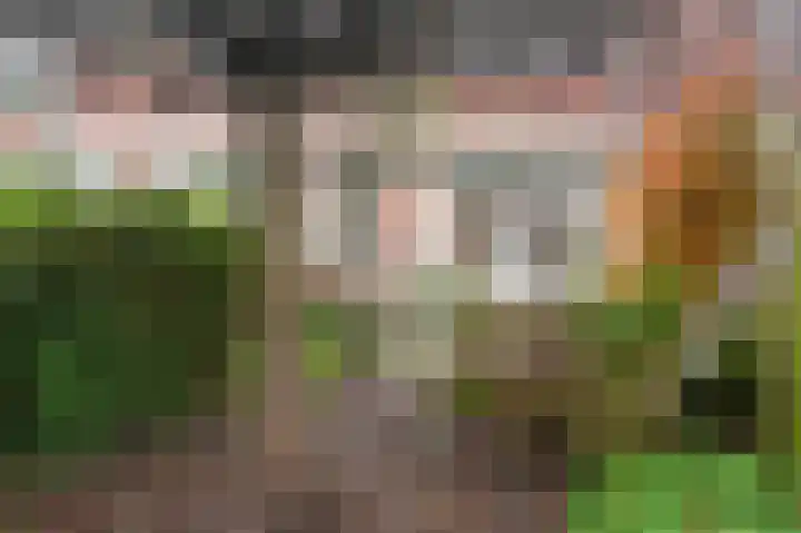 Tollenskade 36 Voorburg thumbnail 30